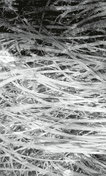 DIMEX | Vliesové fototapety na stenu Abstrakt seno II. MS-2-0382 | 150 x 250 cm | šedá, biela, čierna