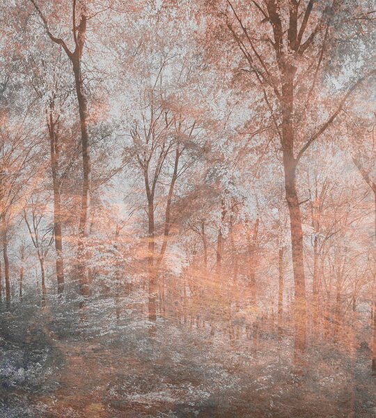 DIMEX | Vliesová fototapeta na stenu Abstrakt farebný les MS-3-0390 | 225 x 250 cm | ružová, viacfarebná