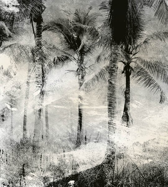 DIMEX | Vliesová fototapeta na stenu Abstrakt palmy MS-3-0374 | 225 x 250 cm | čierna, biela