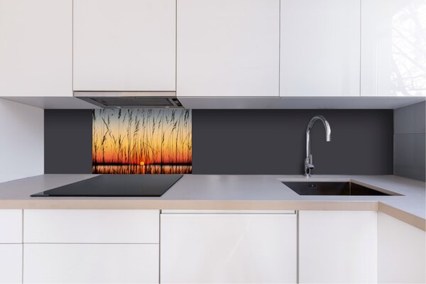 DIMEX | Dibond doska za kuchynskú linku | DBW-06040-129 Rákos | 60 x 40 cm