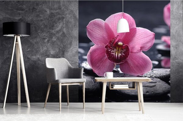 DIMEX | Vliesová fototapeta na stenu Orchidea MS-3-0120 | 225 x 250 cm | čierna, ružová