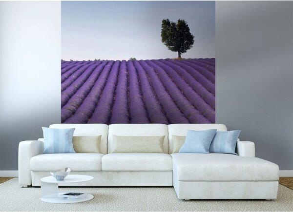 DIMEX | Vliesová fototapeta na stenu Levanduľové pole MS-3-0088 | 225 x 250 cm | fialová, zelená, modrá