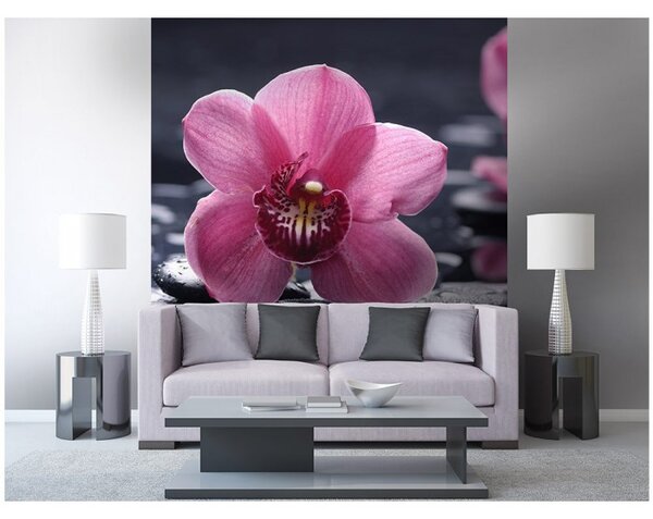 DIMEX | Vliesová fototapeta na stenu Orchidea MS-3-0120 | 225 x 250 cm | čierna, ružová