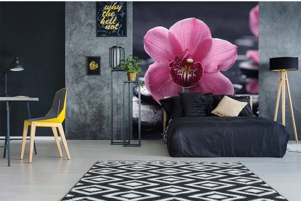 DIMEX | Vliesová fototapeta na stenu Orchidea MS-3-0120 | 225 x 250 cm | čierna, ružová