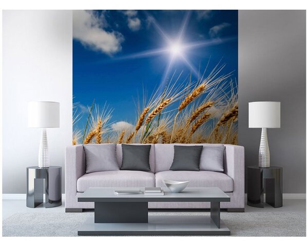 DIMEX | Vliesová fototapeta na stenu Pšeničné pole MS-3-0136 | 225 x 250 cm | modrá, biela, béžová