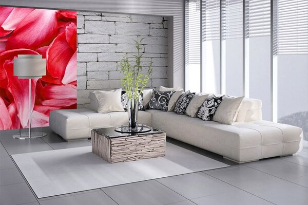 DIMEX | Vliesové fototapety na stenu Červené okvetné lístky MS-2-0151 | 150 x 250 cm | červená
