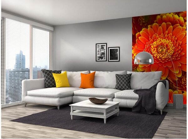 DIMEX | Vliesové fototapety na stenu Gerbera MS-2-0131 | 150 x 250 cm | červená, žltá