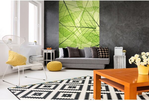 DIMEX | Vliesové fototapety na stenu Žilky listov MS-2-0111 | 150 x 250 cm | zelená