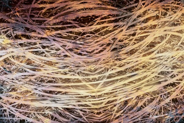 DIMEX | Vliesové fototapety na stenu Abstrakt seno I. MS-5-0381 | 375 x 250 cm | hnedá, béžová, viacfarebná