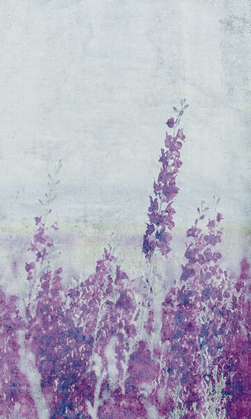 DIMEX | Vliesové fototapety na stenu Abstrakt levandule MS-2-0365 | 150 x 250 cm | fialová, šedá