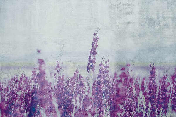 DIMEX | Vliesové fototapety na stenu Abstrakt levandule MS-5-0365 | 375 x 250 cm | fialová, šedá