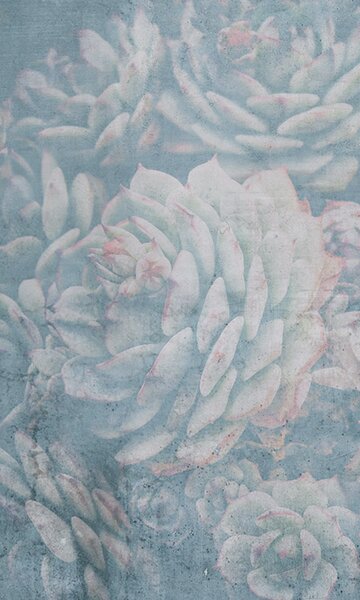 DIMEX | Vliesové fototapety na stenu Abstrakt aloe MS-2-0349 | 150 x 250 cm | modrá, zelená, ružová