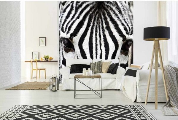 DIMEX | Vliesová fototapeta na stenu Zebra MS-3-0234 | 225 x 250 cm | čierna, biela