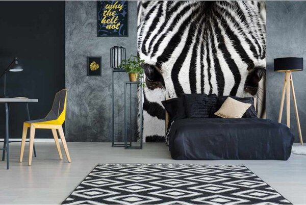 DIMEX | Vliesová fototapeta na stenu Zebra MS-3-0234 | 225 x 250 cm | čierna, biela