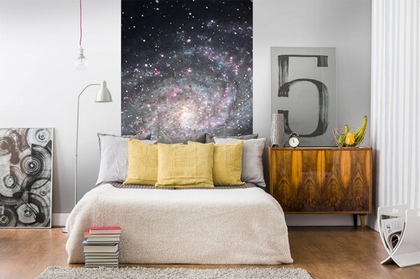 DIMEX | Vliesové fototapety na stenu Galaxia MS-2-0189 | 150 x 250 cm | čierna, šedá, ružová