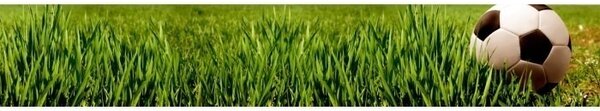 DIMEX | Fototapeta do kuchyne Futbal KI-350-038 | 350 x 60 cm | zelená, biela, čierna
