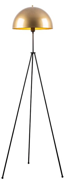 ASIR Stojacia lampa CAN zlatá čierna