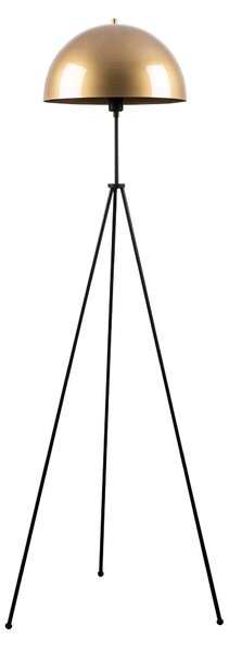ASIR Stojacia lampa CAN zlatá čierna