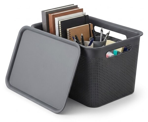 Rotho Úložný box s vekom a s držadlami BRISEN 16l, 36x26,2x21cm, čierny