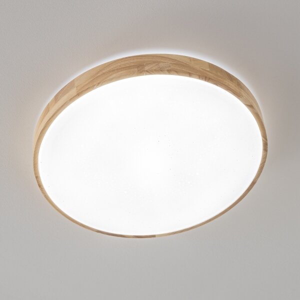 Brilagi - stmievateľné LED stropné svietidlo PINE LED/24W/230V + diaľkové ovládanie