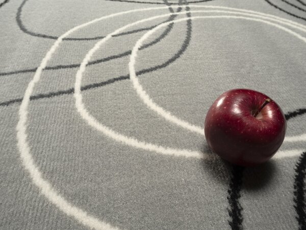 Alfa Carpets , Kusový koberec Circles grey, 120x170, šedá, chodba / predsieň