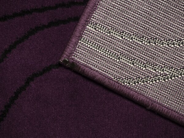 Alfa Carpets , Kusový koberec Circles lila, 120x170, fialová, chodba / predsieň