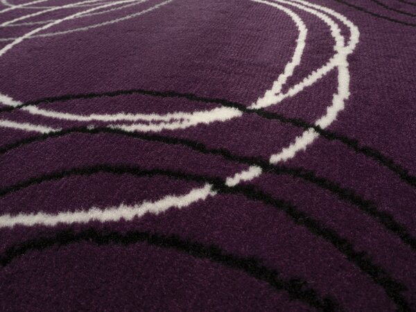 Alfa Carpets , Kusový koberec Circles lila, 120x170, fialová, chodba / predsieň