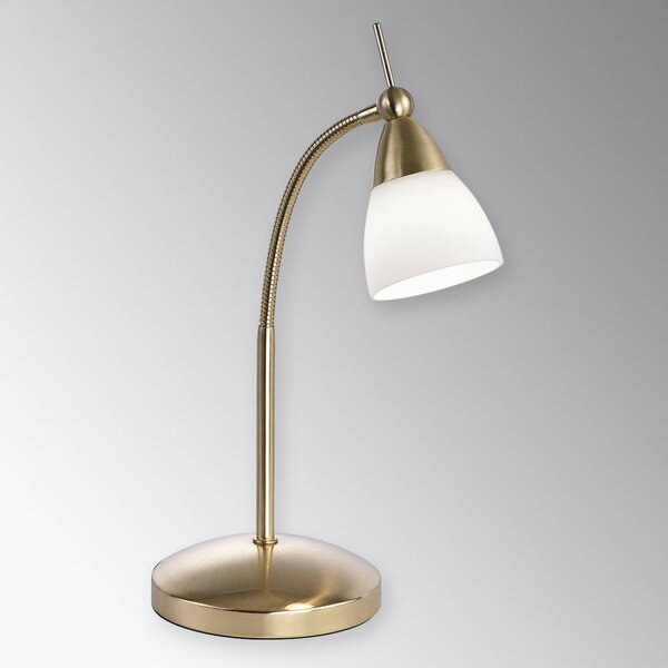 Stolná lampa Paul Neuhaus Pino, mosadz, 45 cm, stmievateľná, G9, Mosadz / zlato, Obývacia izba / jedáleň, kov, Moderný, Stojacie svietidlo