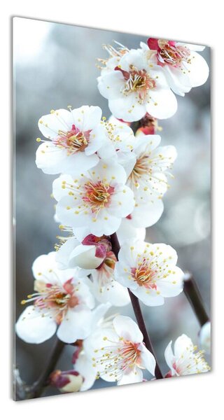 Vertikálny foto obraz sklenený Kvety višne osv-104952401