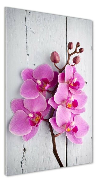Vertikálny fotoobraz na skle Ružová orchidea