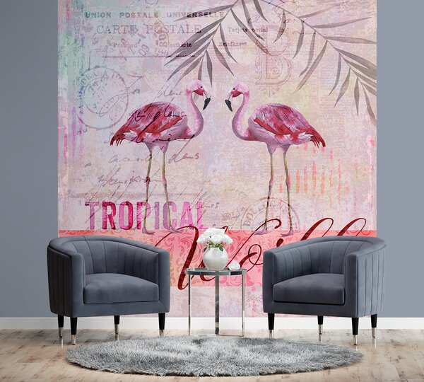 Fototapeta Zvieratá ružových plameňov - Andrea Haase Materiál: Vliesová, Rozmery: 100 x 100 cm