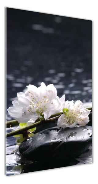 Vertikálny foto obraz sklenený Kvety a kamenia