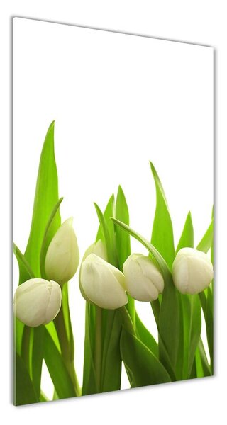 Vertikálny foto obraz sklenený Biele tulipány