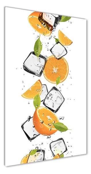Vertikálny foto obraz sklenený Pomaranče a ľad