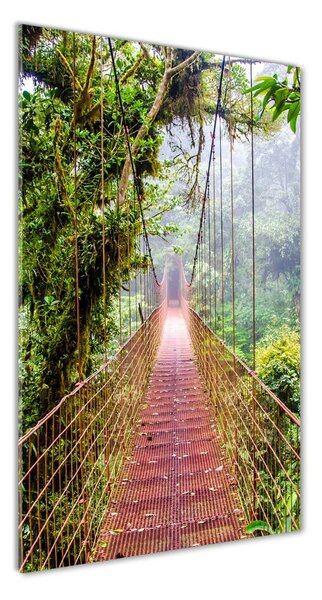 Vertikálny foto obraz sklenený Visiace most osv-79141355