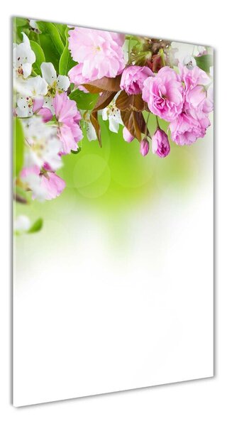 Vertikálny foto obraz sklo tvrdené Jarné kvety