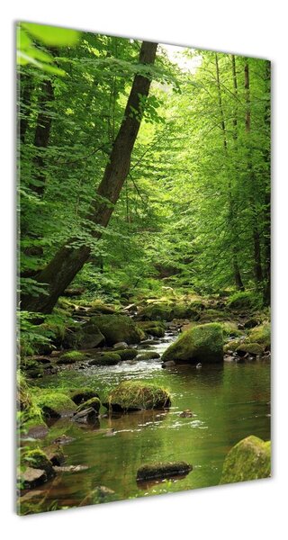 Vertikálny foto obraz fotografie na skle Rieka v lese
