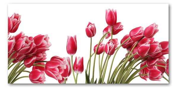 Fotoobraz na skle červené tulipány osh-109710799