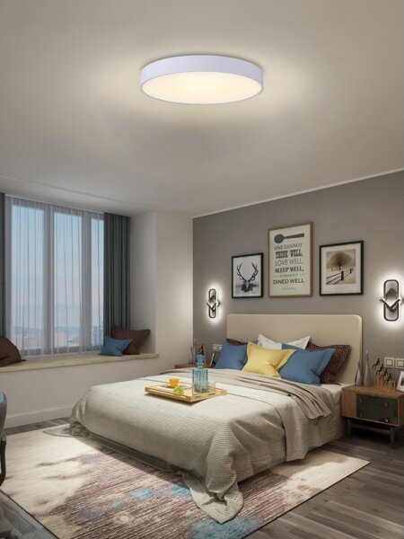 Immax NEO 07206L-LED Stmievateľné stropné svietidlo RONDATE 53W/230V biela Tuya+DO