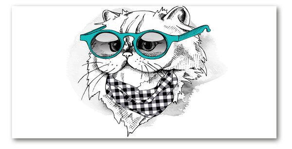 Fotoobraz na skle Mačka v okuliaroch osh-121703839