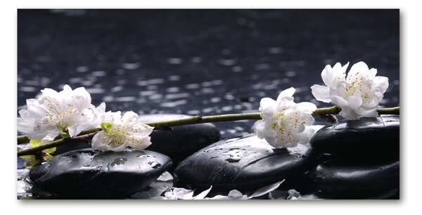 Foto obraz sklo tvrzené kvet višne osh-14431033