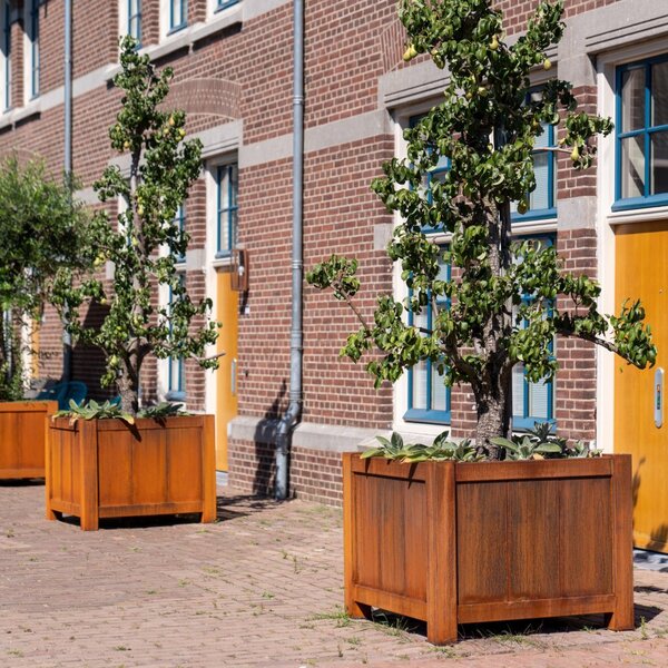 Cortenový kvetináč Versa 800 x 800 x 800 mm