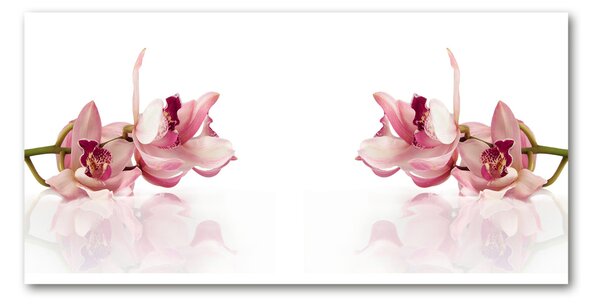 Foto obraz sklo tvrzené orchidea osh-18886978