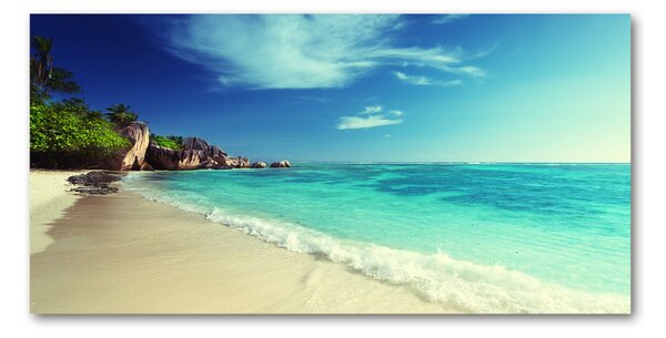 Foto obraz sklenený horizontálny Seychely pláž