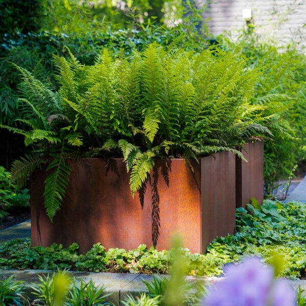 Cortenový vyvýšený záhon stavebnicový 2000 × 1000 × v 600 mm