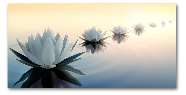 Moderný foto obraz na stenu kvety lotosu osh-68298321
