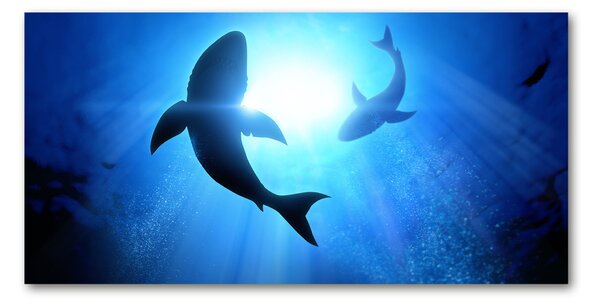 Foto obraz sklenený horizontálny dva žraloky osh-69178156