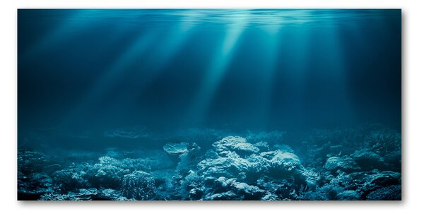 Foto obraz sklo tvrzené podvodný svet osh-72237890