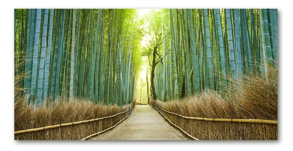 Fotoobraz na skle bambusový les osh-72519653