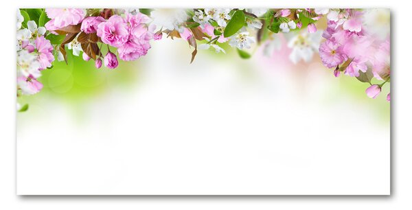 Foto obraz sklo tvrzené jarné kvety osh-79458656